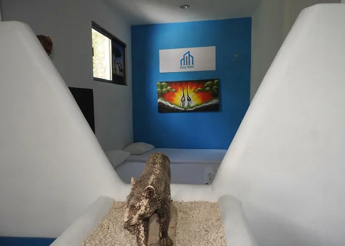 Easy Hotel